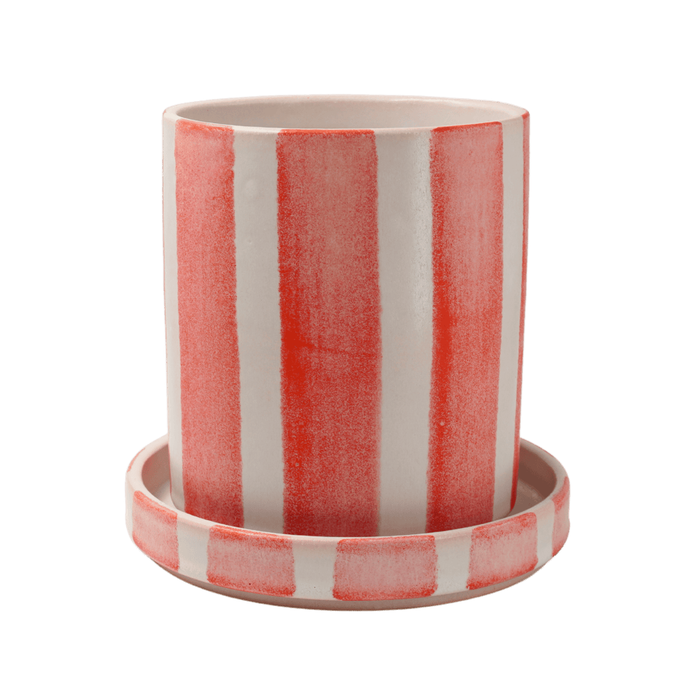 
                      
                        Pot stripe mini
                      
                    