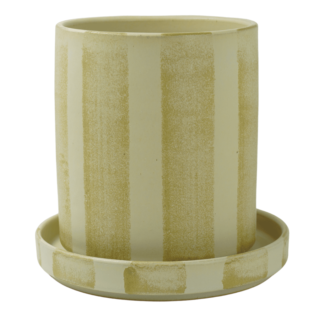 
                      
                        Pot stripe medium
                      
                    