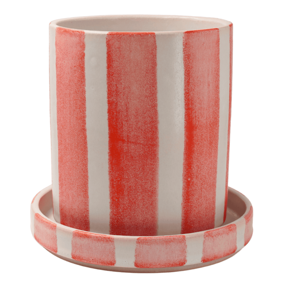 
                      
                        Pot stripe medium
                      
                    